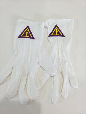 Cryptic Mason Royal Select - York Rite Trowel Masonic White Gloves Freemasons